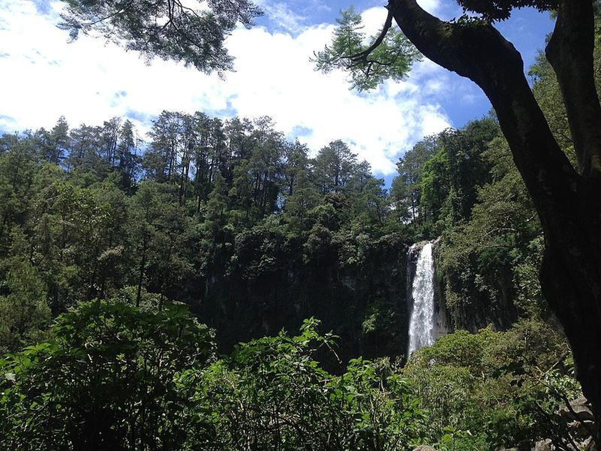 7. Air Terjun Grojogan Sewu