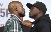 Fakta-fakta pertandingan akbar Mayweather vs Berto