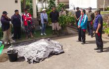 Lalat Serbu Sejumlah Desa di Kintamani Bangli, Ternyata Ini Penyebabnya