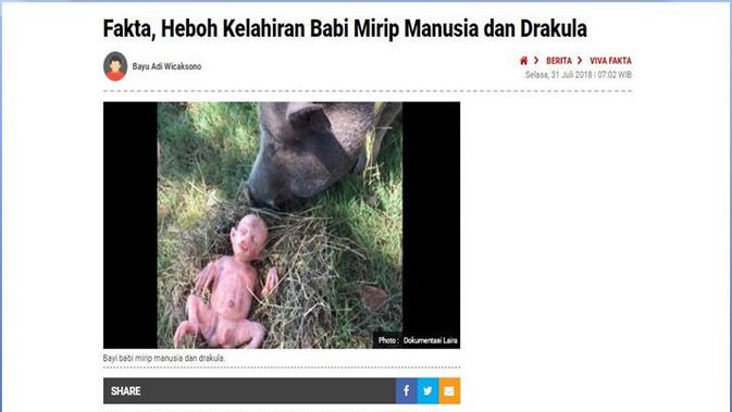 [Cek Fakta] Viral Foto Bayi Manusia Mirip Babi, Hoaks Atau Fakta?