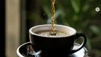 Saat Aroma Kopi Tubruk Tapanuli Selatan Goda Pengunjung World Economic Forum di Davos Swiss