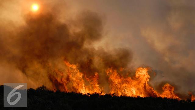 Gili Lawa Terbakar, Warganet Ngamuk di Akun Instagram Agen Travel Ini