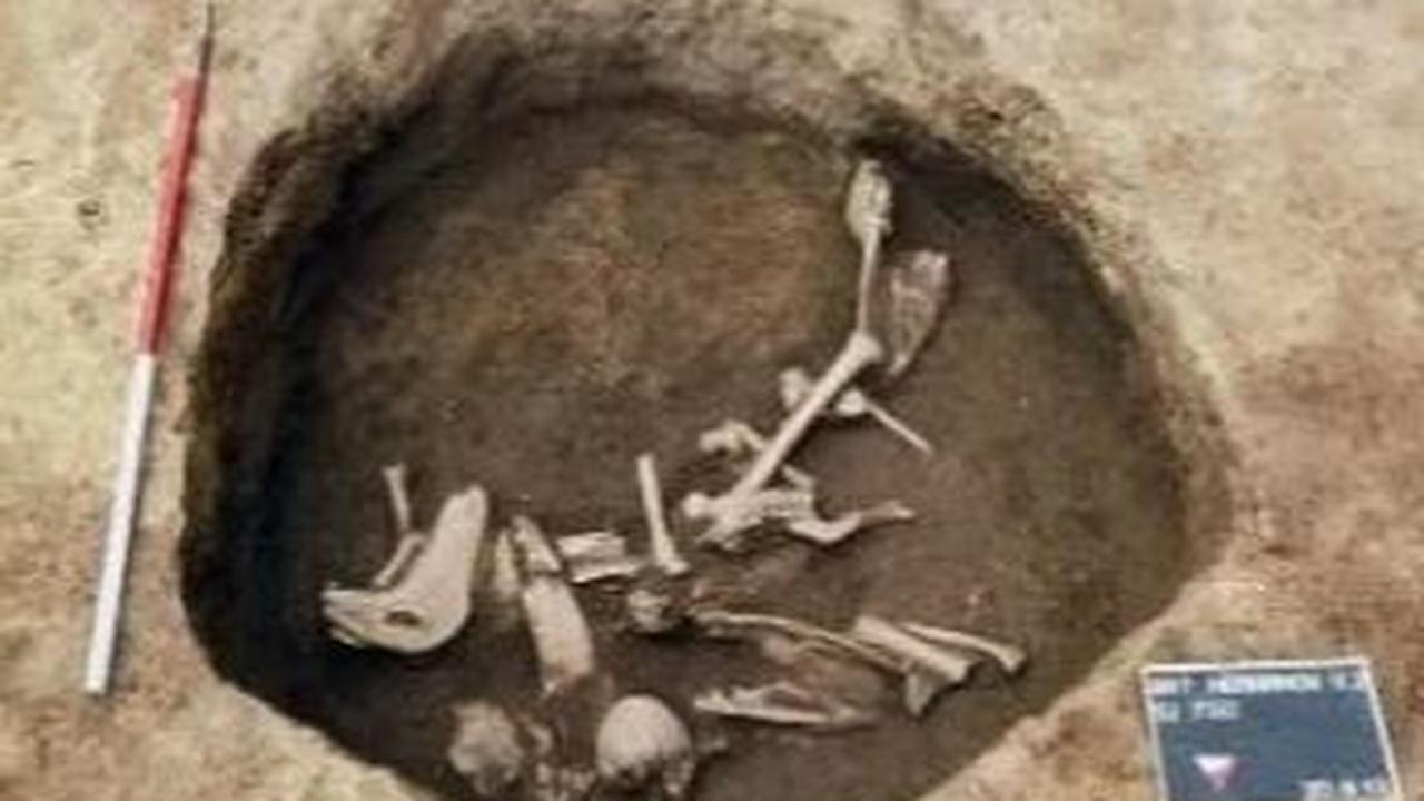 Lokasi Penemuan Tengkorak "Alien"