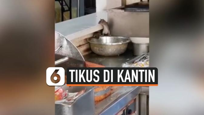 VIDEO: Viral, Tikus Berkeliaran di Wadah Makanan Kantin Rumah Sakit - Liputan6.com