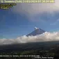 Gunung Semeru kembali erupsi dengan tinggi kolom letusan capai 600 meter (Istimewa)