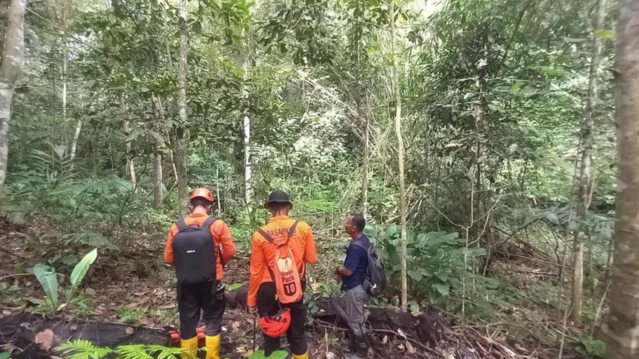 Basarnas Sulut Intensifkan Pencarian Warga Tomohon Hilang Saat Berburu Tikus Hutan