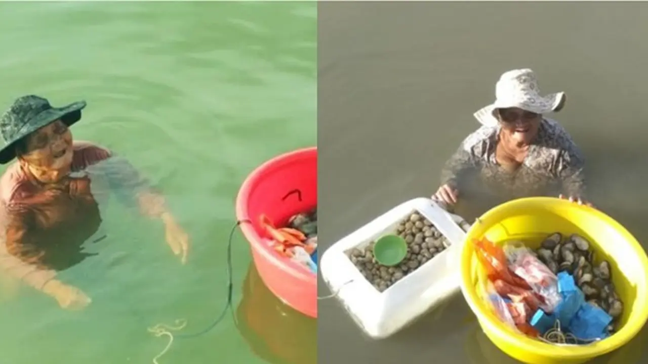 Wanita Tua Ini Rela Berenang di Laut Berjam-Jam, Alasannya Bikin Haru