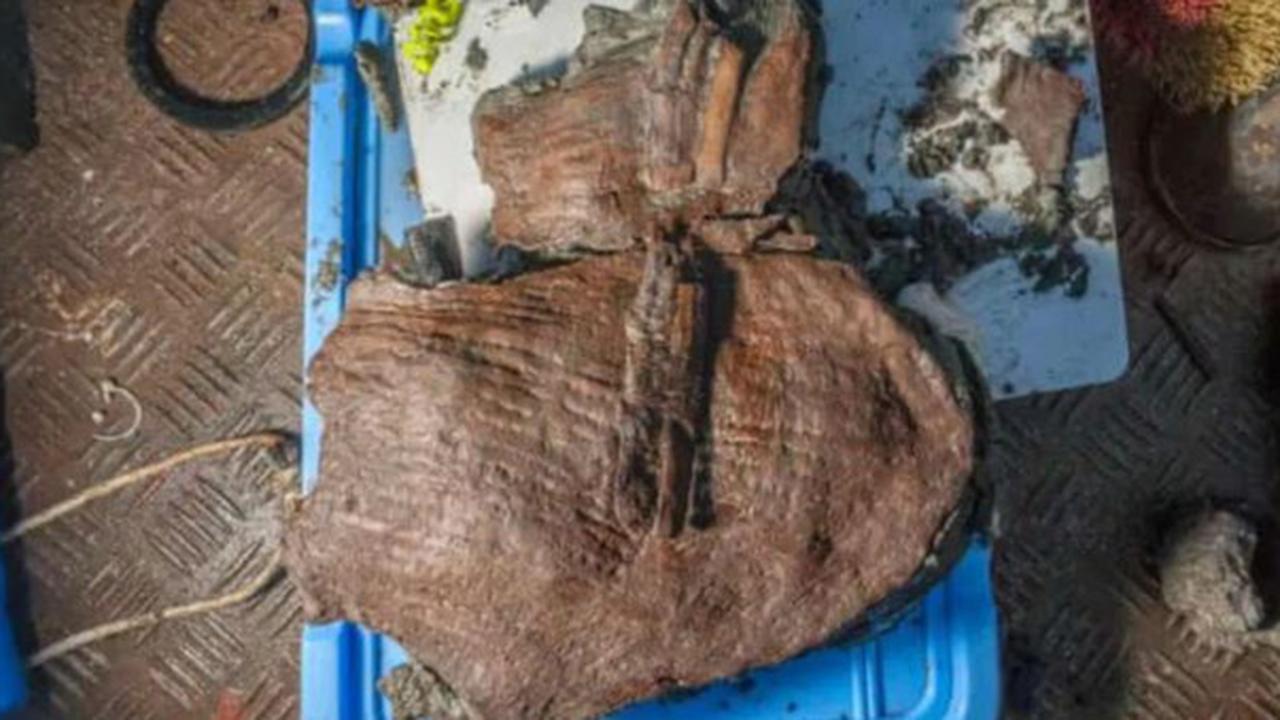 Arkeolog Temukan Keranjang Buah Berusia 2.200 Tahun di Bawah Air, Masih Ada Isinya