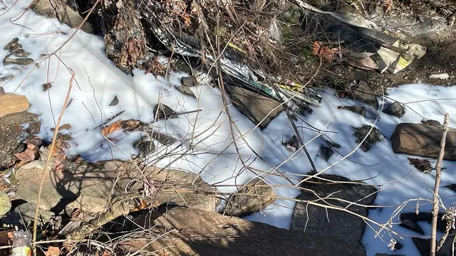 Sungai Susu di Amerika