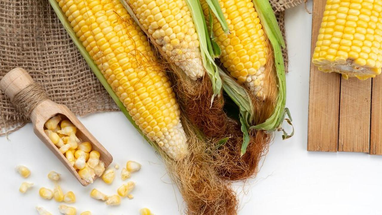 Benarkah Jagung Bisa Membantu Menurunkan Kadar Asam Urat? Kenali Manfaat Tersembunyinya