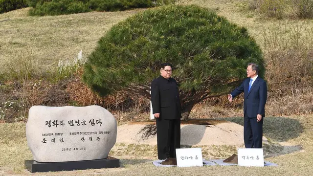 Pemimpin Korea Utara dan Selatan berpartisipasi dalam upacara penanaman pohon di sebelah Garis Demarkasi Militer yang membentuk perbatasan antara kedua Korea. (AFP/Arsip)