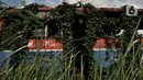 Bangkai bus Metromini di Rawa Buaya tertutup tumbuhan liar setelah dikandangkan selama bertahun-tahun. Karya foto ini sedang dipamerkan dalam pameran foto dengan tema ”Innovation” di Erasmus Huis. (merdeka.com/Iqbal S Nugroho)