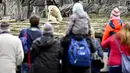 Pengunjung menyaksikan bayi beruang kutub dan ibunya yang bernama Tonja saat dipamerkan di Kebun Binatang Tierpark, Berlin, Jerman, Jumat (15/3). Bayi beruang kutub tersebut lahir pada 1 Desember 2018. (John MACDOUGALL/AFP)