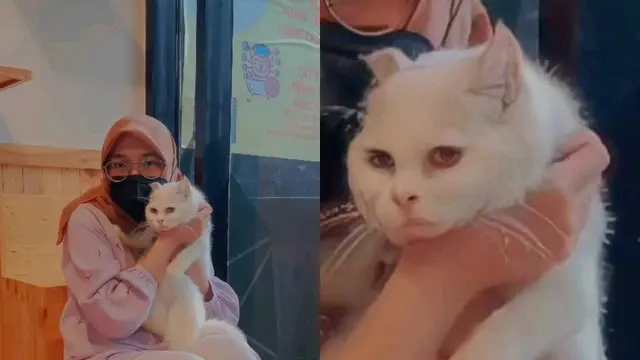Bukannya HD, 6 Hasil Foto Diedit Pakai Aplikasi Remini Ini Malah Bikin Ngakak