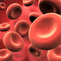 Sebuah cara baru untuk mendeteksi kanker menggunakan platelet darah dapat langsung menjelaskan jenis dan letak kanker. (Sumber howardluksmd.com)