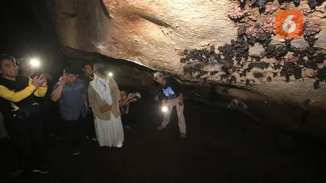 Habitat Kelelawar yang berada di dalam Gua Liang Bangkai Mantewe Tanah Bumbu Kalimantan Selatan, Situs Geopark Meratus