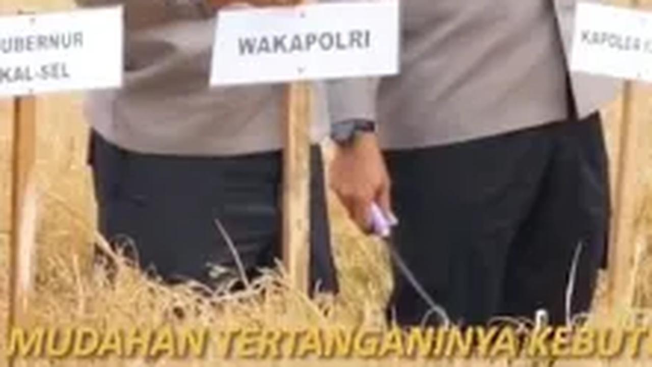 Berseragam Polri Pakai Topi Caping Petani, Intip Momen Komjen Agus Andrianto Turun ke Sawah Menanam Padi