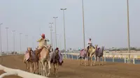 Tampak unta sedang berlatih Al-Shahaniya Camel Racetrack di bawah arahan joki. (Hendry Wibowo/Bola.com)