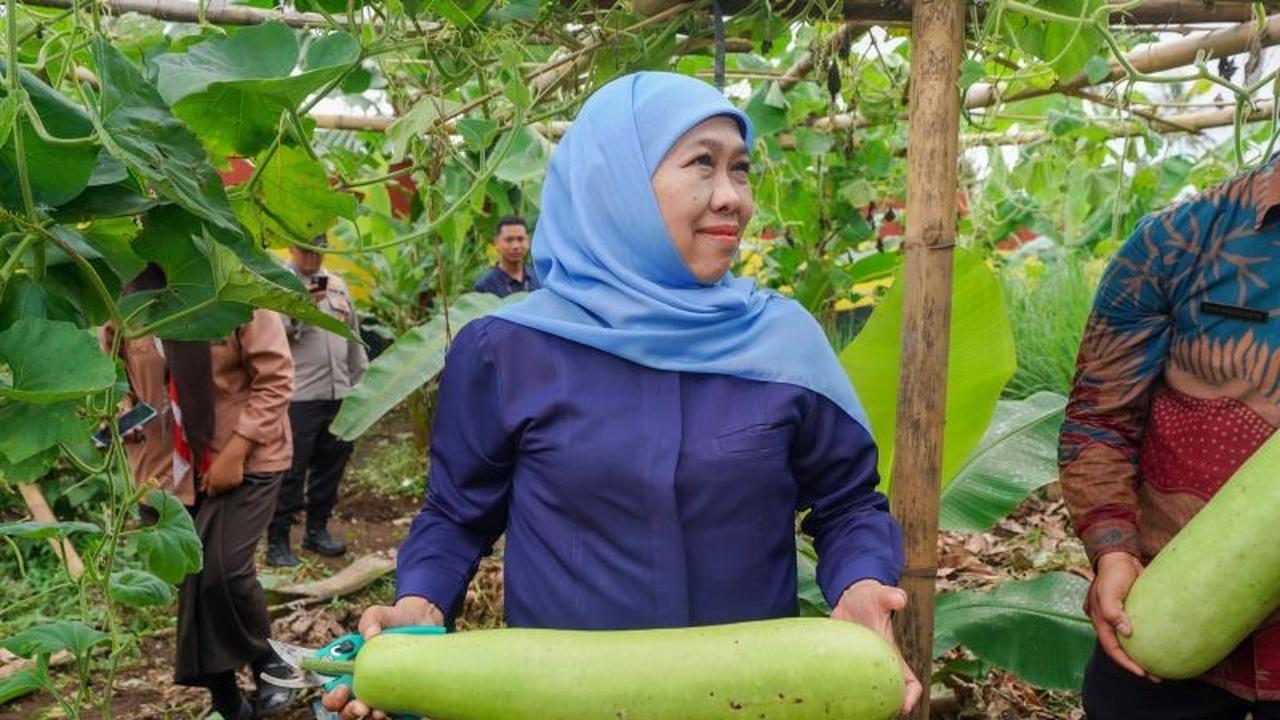 Wow, SMAN 1 Dampit Punya 300 Jenis Tanaman! Gubernur Jatim Apresiasi Teladan Ketahanan Pangan Berbasis Sekolah