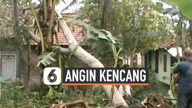 thumbnail vertikal angin kencang sleman