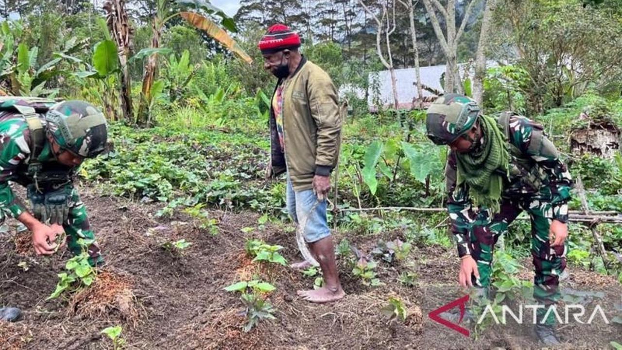 Lebih dari Sekadar Senjata: Satgas Yonif 521 Bantu Warga Kelila Tanam Sayur, Perkuat Ketahanan Pangan Papua