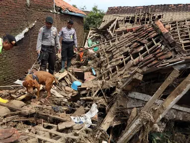 Petugas mengintruksikan Anjing pelacak K-9 saat menyisir reruntuhan bangunan rumah akibat banjir bandang di Kampung Bojong Sudika, Cimacan, Garut, Jumat (23/9). (Liputan6.com/Johan Tallo)