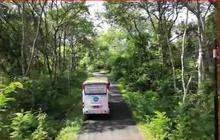 Serunya Naik Bus Sekolah di Wonogiri, Antar Jemput Siswa hingga Tengah Hutan dan Pelosok Desa