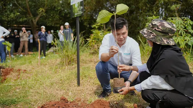 Meredam Efek Bencana Alam Lewat Menanam Pohon, dari Aceh hingga Bekasi