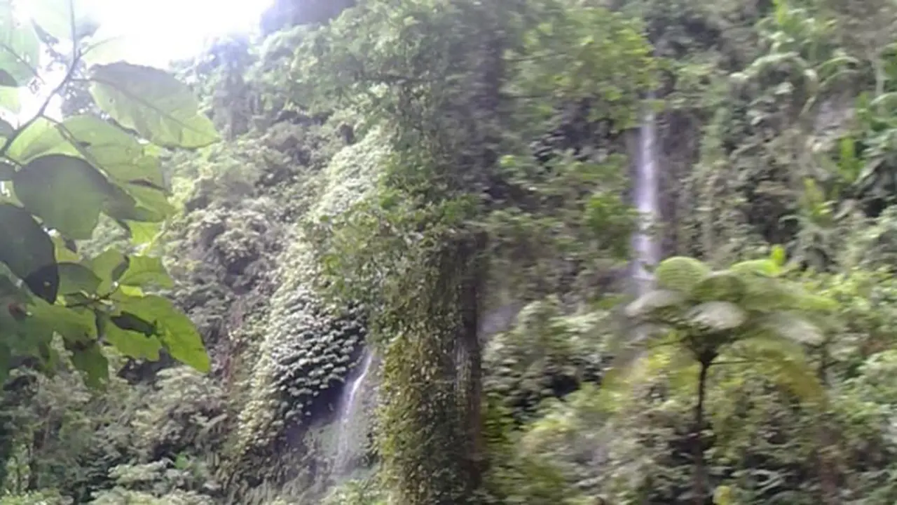 Air Terjun Sendang Gila, di Senaru Masih Alami