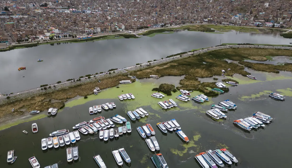 Perahu-perahu menganggur di tepi danau Titicaca akibat kerusuhan politik, di Puno, Peru, Minggu (29/1/2023). Peru berada di tengah gejolak politik sejak mantan Presiden Pedro Castillo dimakzulkan dan ditangkap karena mencoba membubarkan Kongres dan digantikan oleh Wakil Presidennya Dina Boluarte, yang memicu protes keras. (AP Photo/Martin Mejia)