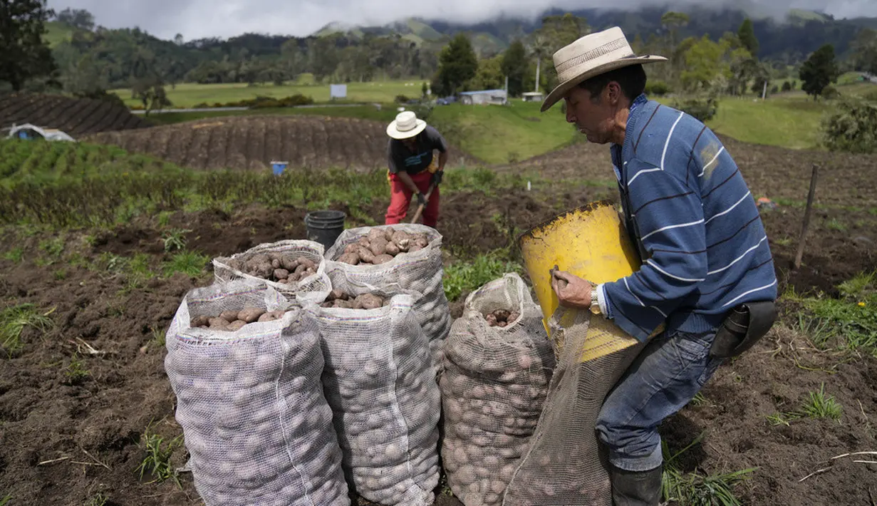 <p>Petani dibolehkan kembali ke desa siang hari untuk merawat ladang pertanian mereka. (AP Photo/Fernando Vergara)</p>
