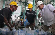 Stok Beras Masih Ada 1,8 Juta Ton, Bos Bulog Jamin Pangan Idul Adha Aman