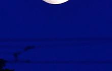 FOTO: Fenomena Supermoon Sturgeon Hiasi Langit Cerah Jakarta, Begini Penampakannya
