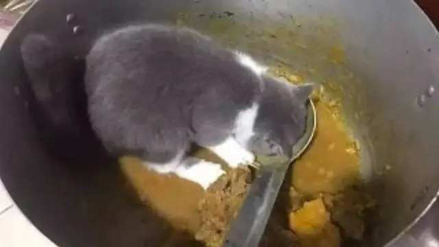 7 Potret Momen Apes Saat Masak Daging Kurban Ini Bikin Nangis