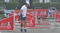 Seorang peserta dan anjing peliharaannya saat mengikuti Purina Alpo Dog Run 2015 di Lapangan Parkir Timur Senayan, Jakarta, Minggu (24/5/2015). Acara tersebut dimanfaatkan para pemilik anjing untuk berbagi informasi. (Liputan6.com/Herman Zakharia)
