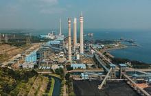 Tekan Emisi, PLN Indonesia Power Bangun Ekosistem Biomassa di PLTU Cilacap