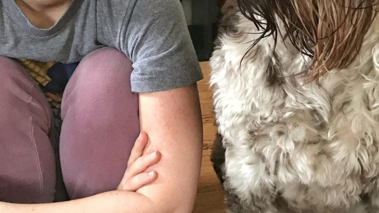 FOTO: Anjing di AS ini Doyan Makan Uang, Pemilik Kaget Dolar Kertas Senilai Rp62 Juta Ditelan