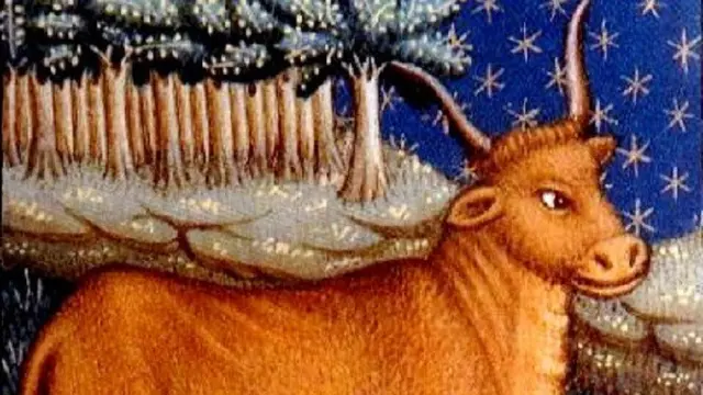 Taurus
