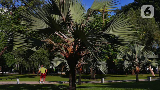 Tidak Ada Lonjakan Kasus COVID-19, PPKM Dihentikan