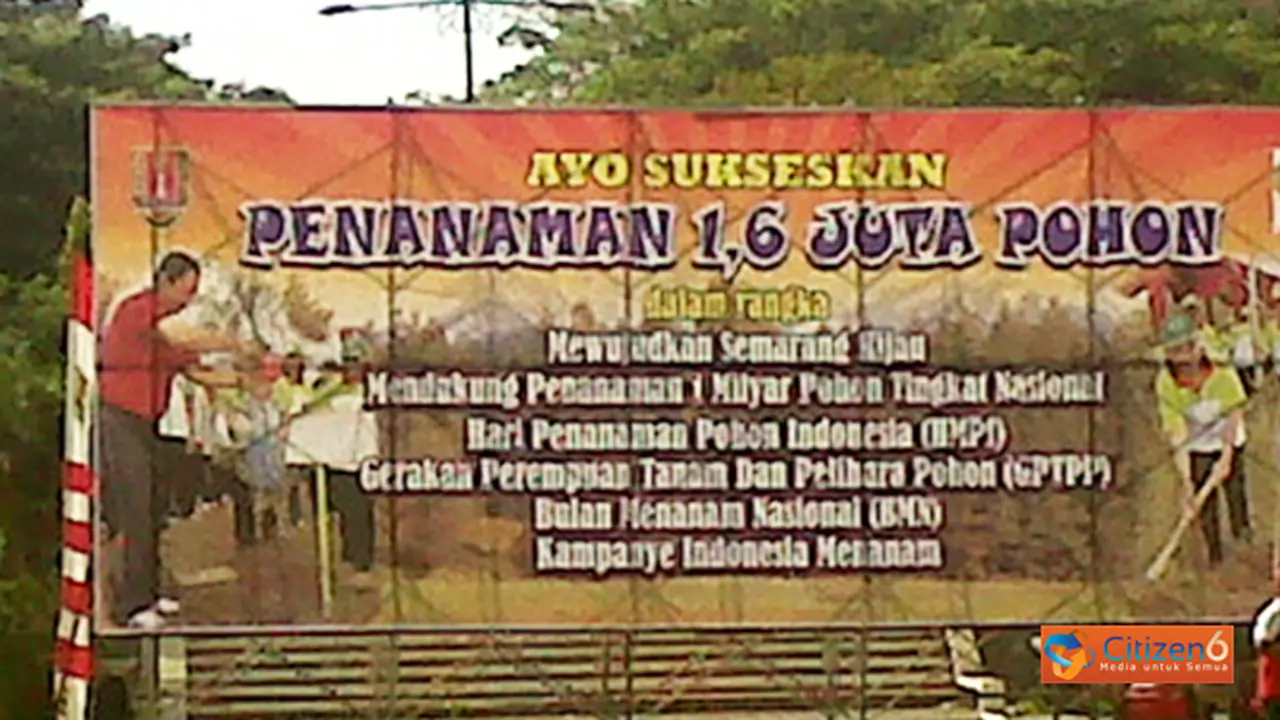 131214apohon.jpg