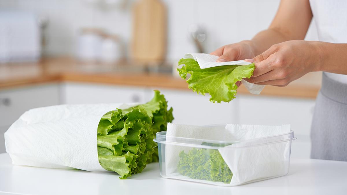 Tips Menyimpan Selada di Kulkas Supaya Tetap Renyah hingga 2 Minggu