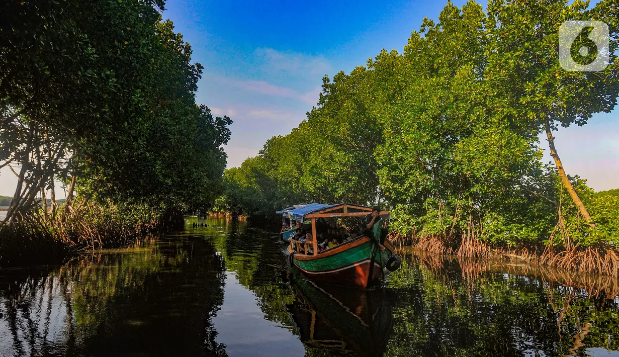 Perahu nelayan membawa wisatawan melewati kawasan mangrove Sunge Jingkem di Kp. Sembilangan, Tarumajaya, Kabupaten Bekasi, Sabtu (13/4/2024). (merdeka.com/Arie Basuki)