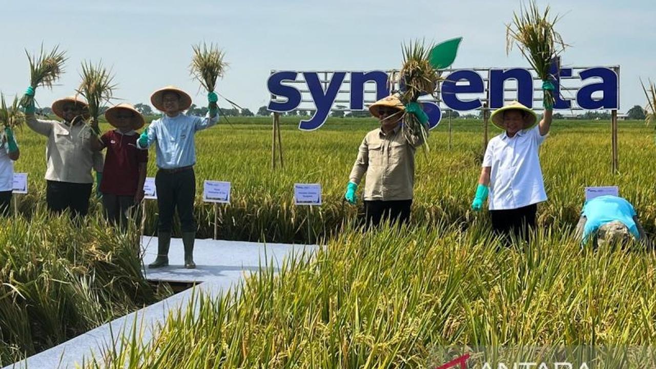 Keren! Petani Muda Didorong Adopsi Pertanian Presisi, Pakai Drone untuk Sebar Benih Demi Ketahanan Pangan