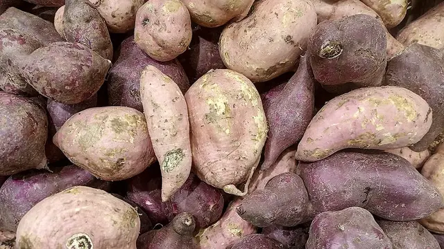 Sayuran dengan Kandungan Protein Tertinggi yang Bisa Ditanam Sendiri