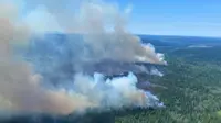 Kebakaran Hutan di Distrik Regional Thompson-Nicola (AFP)