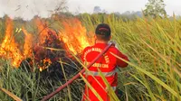 Tim Manggala Agni Daops Tinanggea Konawe Selatan, saat memadamkan api di wilayah pemukiman warga. (Akbar Fua/Liputan6.com)