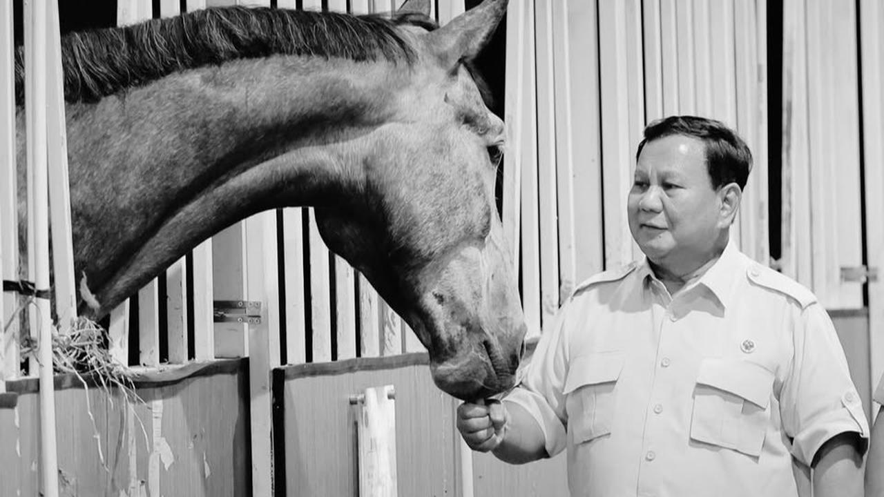Kejutan Prabowo Masuk Kandang Kuda di Resimen Kavaleri, Enjoy Sambil Kasih Makan