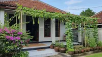 9 Ide Menanam Gambas Rambat di Teras Rumah, Bikin Teduh Sekaligus Panen Sayur