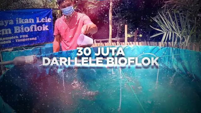 VIDEO BERANI BERUBAH: 30 Juta dari Lele Bioflok
