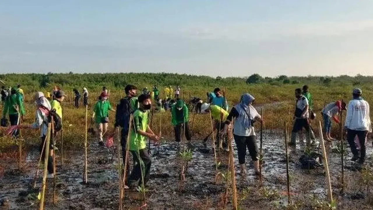 Penanaman Mangrove di Pantai Permata Kota Probolinggo untuk cegah perubahan iklim (Istimewa)